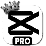 CapCut Pro APK