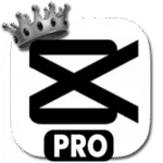 CapCut Pro APK